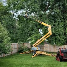 Best Tree Disease Treatment  in Cresaptown, MD