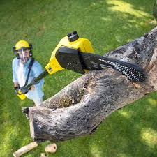 Best Tree Trimming and Pruning  in Cresaptown, MD